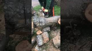 Stihl ms170 custom pipe cutting wood fun stihl chainsaw shorts [upl. by Manton155]