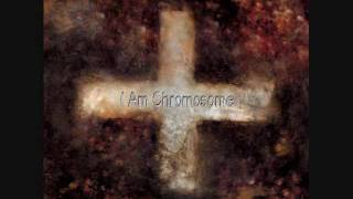 Martin Grech  I Am Chromosome [upl. by Hassi]