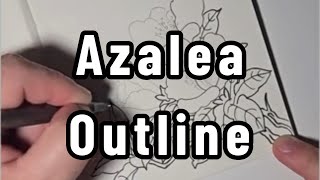 Learn to Draw Azaleas Detailed Floral Outline Art drawing [upl. by Ardnoet105]