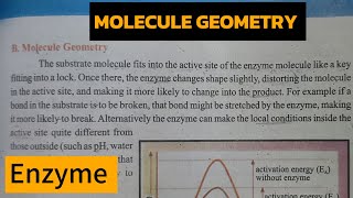 Molecule Geometry Enzyme CatalysesEnzyme1st year [upl. by Aicilana171]