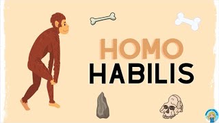 Homo Habilis [upl. by Josi]