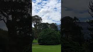 Muckross House Killarney [upl. by Auoh127]