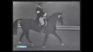 Olympic Games 1964  Dressage [upl. by Smith]