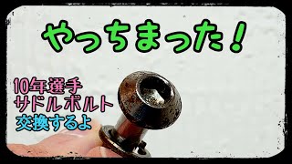 サドルのボルトをやっちまった！ボルト交換とサドルの簡単な調整 [upl. by Pressman]