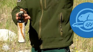 How to Use Bear Spray  Banff National Park [upl. by Aniretake]