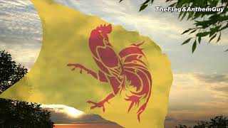 Flag and anthem of Wallonia [upl. by Seroled]