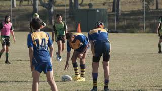 Helensvale hornets green vs Coomera u12’S [upl. by Esiuole440]