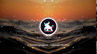 🎵 sonido original  Fabricio Nuñez — Sonidos TikTok [upl. by Tallbott]