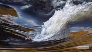 A White Turtle Under a Waterfall by Wang Wei [upl. by Mitchiner179]