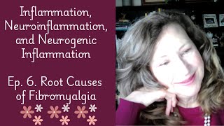 Ep 6 Inflammation in fibromyalgia A Root Cause of fibromyalgia [upl. by Notelrac]