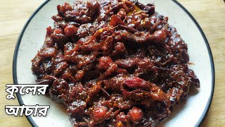 Kuler Achar  Tok Jhal Misti Kuler Achar  Kuler Achar Recipe In Bengali  Boroi Achar [upl. by Garry]