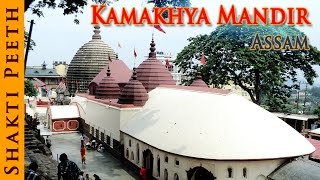 Shakti Peeth  Kamakhya Mandir  Assam  Indian Temple Tours [upl. by Nyliret]