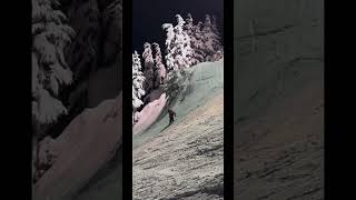 Alyeska ski resort downhillskiing skiing mtb alyeska sendit [upl. by Kcirdneked512]