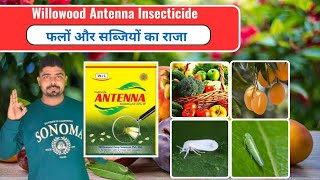 Willwood Antenna Insecticide ।। Antenna Insecticide ।। Acetamiprid 20 SP ।। FertiLizerExpert [upl. by Ttelrahc]