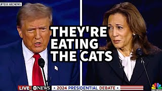 They are eating the Dogs n cats song by Spaul The Kiffness inspired  Trump Kamala debate [upl. by Morganstein]