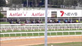 wandjina 20150307FLEMINGTONR7 [upl. by Clementis617]