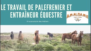 Le travail de palefrenier et entraîneur équestre  À LA POURSUITE DES MÉTIERS [upl. by Ynner]