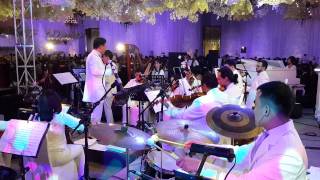 Wedding Orchestra [upl. by Danell]