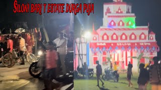 Siloni bari t estate durga puja hasib vlogs [upl. by Adnahsed978]