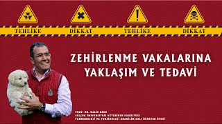 Zehirlenme Vakalarına Yaklaşım ve Tedavi [upl. by Hsilgne932]