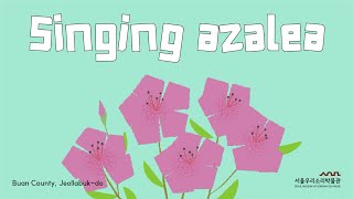 Singing azalea [upl. by Nonnahsed]