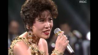 Kim Yeonja  Mercury lamp 김연자  수은등 Saturday Night Music Show 19930918 [upl. by Yddur764]