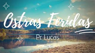 Pr Lucas  OSTRAS FERIDAS  Letra  Lyric [upl. by Saffier]