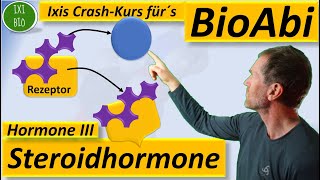 Hormone 3 Steroidhormone  Wirkungsweise im Detail Vergleich von hydrophilen  hydrophoben Hormonen [upl. by Marge]