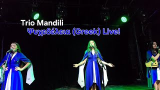 Trio Mandili sing in Greek Ψυχεδέλεια Live Athens Greece 🇬🇷 Psychedelia [upl. by Ayatan473]