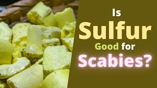 Sulfur for Scabies  Is it Good How to Use Sulfur Ointment to Help with Scabies [upl. by Singleton]