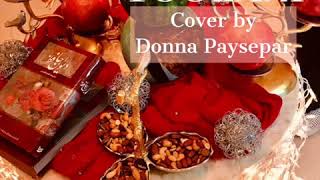 Shabe Toolani Cover By Donna Paysepar [upl. by Hitchcock]