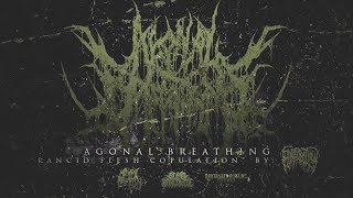 AGONAL BREATHING  RANCID FLESH COPULATION EPICARDIECTOMY COVER 2017 SW EXCLUSIVE [upl. by Omrelliug36]