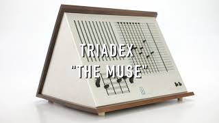 Vintage Triadex The Muse SequenceBased Synthesizer 43917 [upl. by Bordiuk]