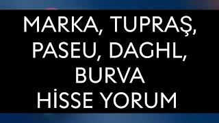 Marka Tupras Paseu Daghl Burva Hisse Yorum [upl. by Alegnave]