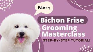 How to Groom a Bichon Frise  Bichon Frise Grooming Tutorial Part 1 [upl. by Reinal630]