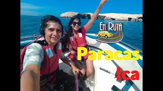 En Ruta Paracas  Ica [upl. by Julina799]