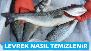 Levrek Nasıl Temizlenir How to clean sea bass Fish BALIK TEMİZLEME BALIK PİŞİRME [upl. by Vincents]