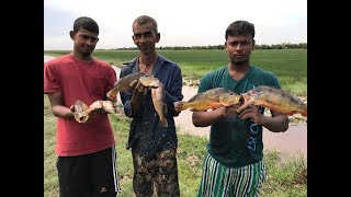 Anaconda Golden Tegu amp Peacock Bass Caught by hand [upl. by Liw420]