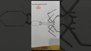 Easy diagram of virus bacteriophage bacteriophage virus diagramlabelleddiagram rossii002 [upl. by Nekal991]