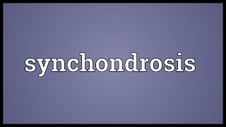 Synchondrosis Meaning [upl. by Erica883]