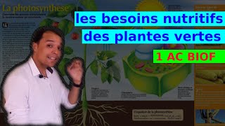 Les besoins nutritifs des plantes vertes 1AC BIOF [upl. by Jammin]