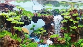 Mini Waterfall Terrarium DIY terrarium landscape moss [upl. by Ailin]