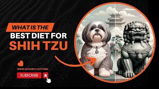 BEST DOG FOOD for Shih Tzus  Special care for Shihtzus by Dr Pallabi [upl. by Jorie]