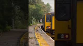 150219 working Liskeard to Looe departing Liskeard 15 Oct 2024 [upl. by Natascha]