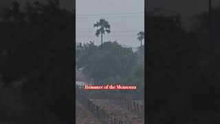 Romance of the Monsoonsnature viral Shortbollywoodsongs romanticsong hindisong bollywood [upl. by Ellatsirhc994]