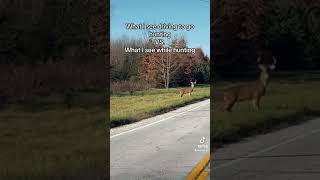 Why is it like this hunting deer deerhunting outdoors buck whitetail bowhunting rut [upl. by Ailene571]