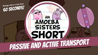 Passive and Active Transport  Amoeba Sisters Shorts [upl. by Baal]