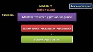 Minerales Sodio y Cloro [upl. by Aratak]