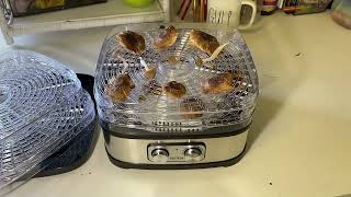 Best Dehydrator for Mushrooms [upl. by Danais]