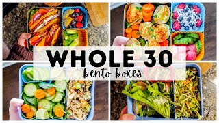 WHOLE30 BENTO BOX LUNCH IDEAS healthy paleo  whole30 approved recipes for school or work [upl. by Jeritah933]